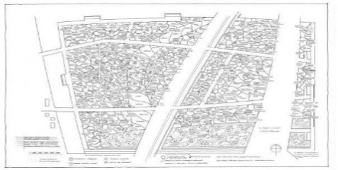 designed by Piet Oudolf, shown with two of his matrix planting plans for other projects. 10/04/15