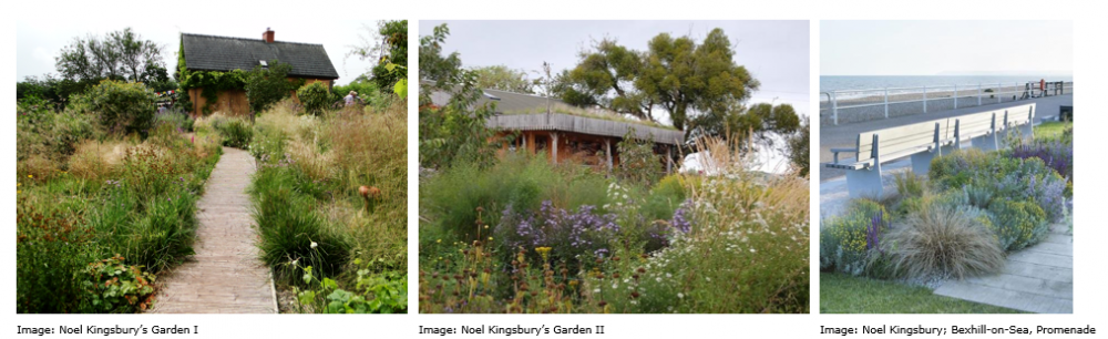 Wildlife Friendly Gardens | National Design Academy 