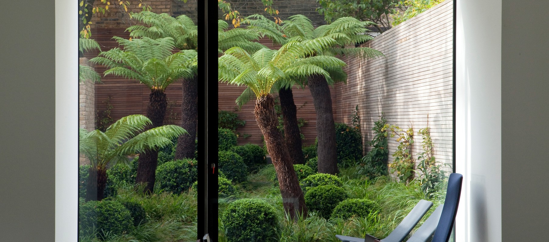 Garden with palm trees pictured from inside