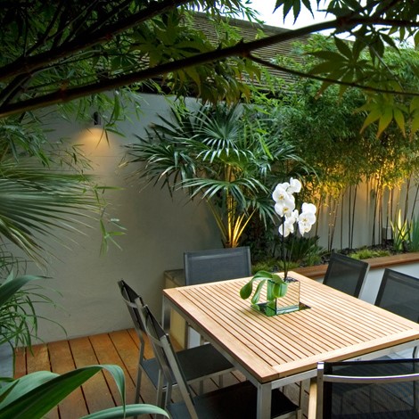 Simple garden lighting with lush tropical plants