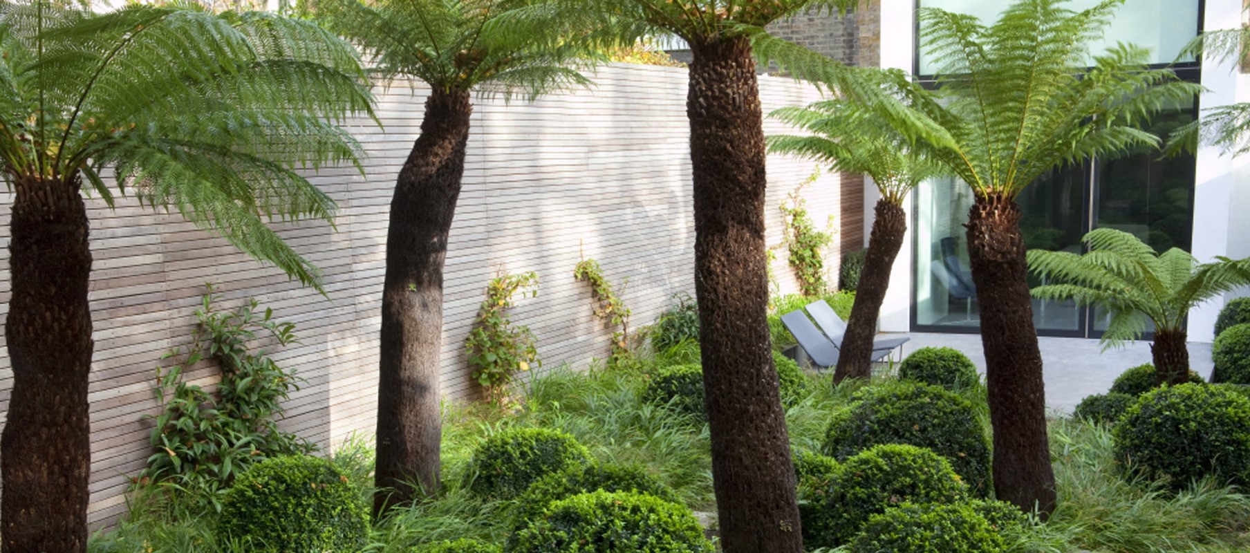 Tom Stuart-Smith Garden with Palm Trees