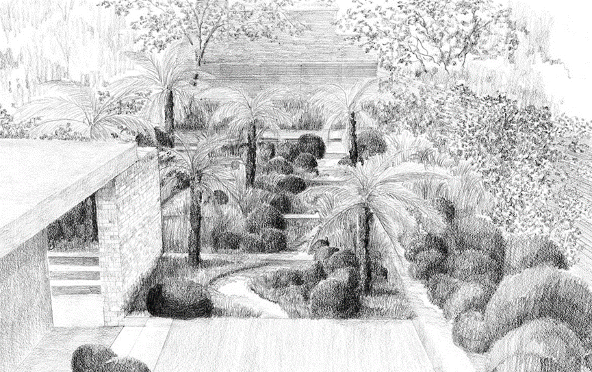 Tom Stuart-Smith London Garden Drawing