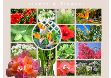 DFSGS-Gallery-Final-Design-6