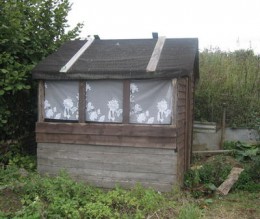 Images 9-old shed