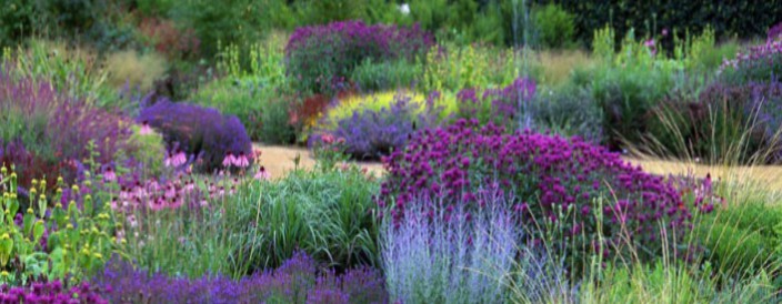 images showing details of the gardens at Scamston Hall designed by Piet Oudolf 