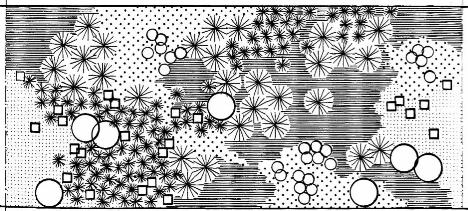 This distribution of planting by Roland Byass, a London based landscape architect