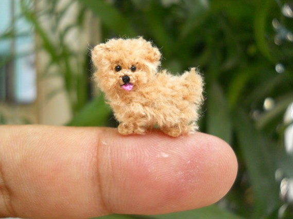 Maltese tiny crocheted dog by Su Ami