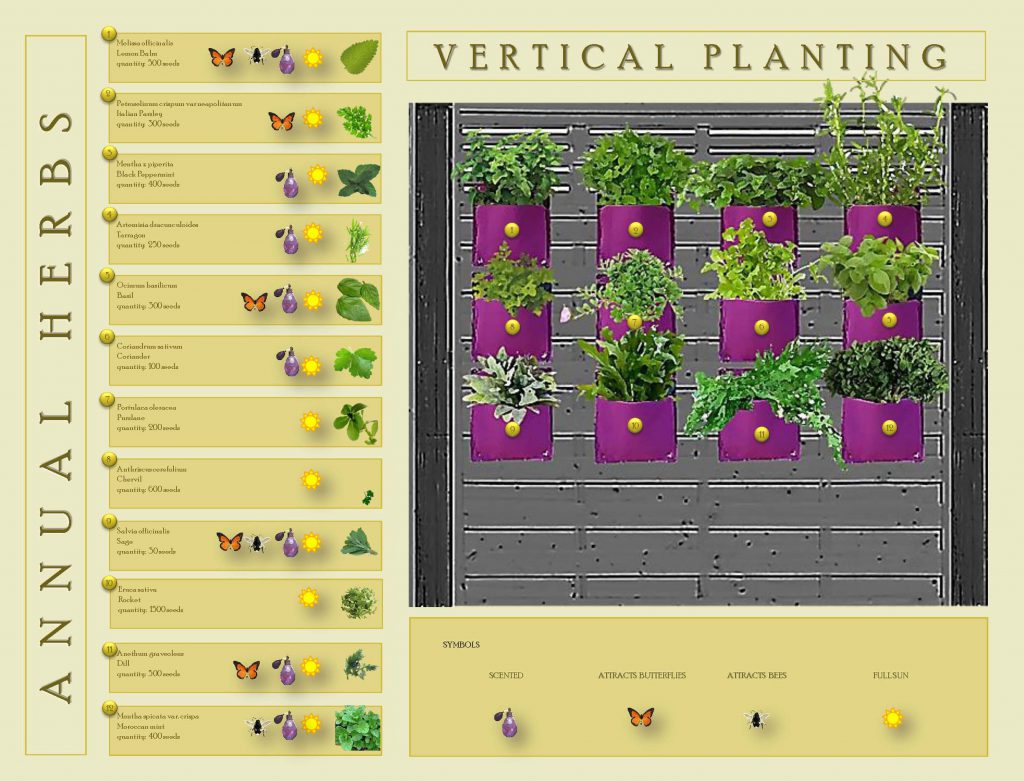 THIS MONTH’S NATIONAL DESIGN ACADEMY STUDENT OF THE MONTH IS DIPLOMA IN PROFESSIONAL GARDEN DESIGN STUDENT, RUTH SWANTON. VERTICAL HERB PLANTING PLAN
