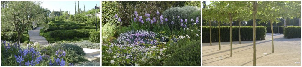 Tommaso del Buono - Garden Designer