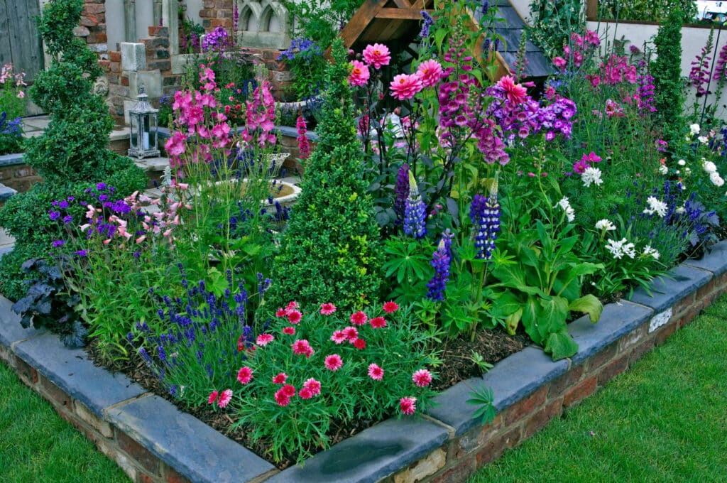 Cottage garden border