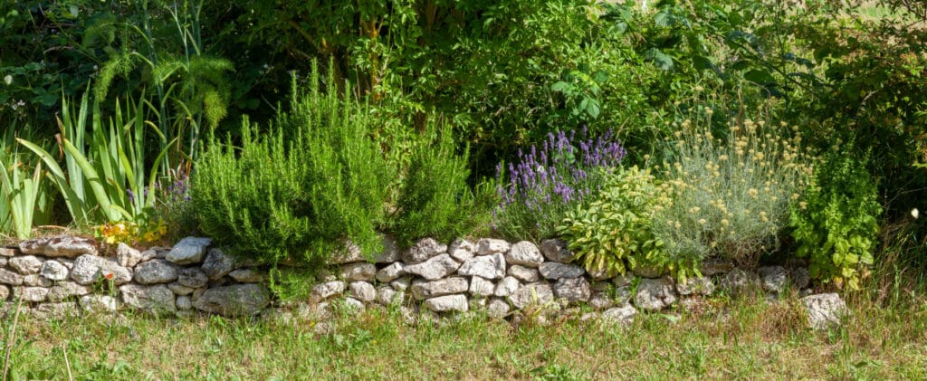 sensory garden border