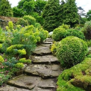 Coombe Wood Gardens