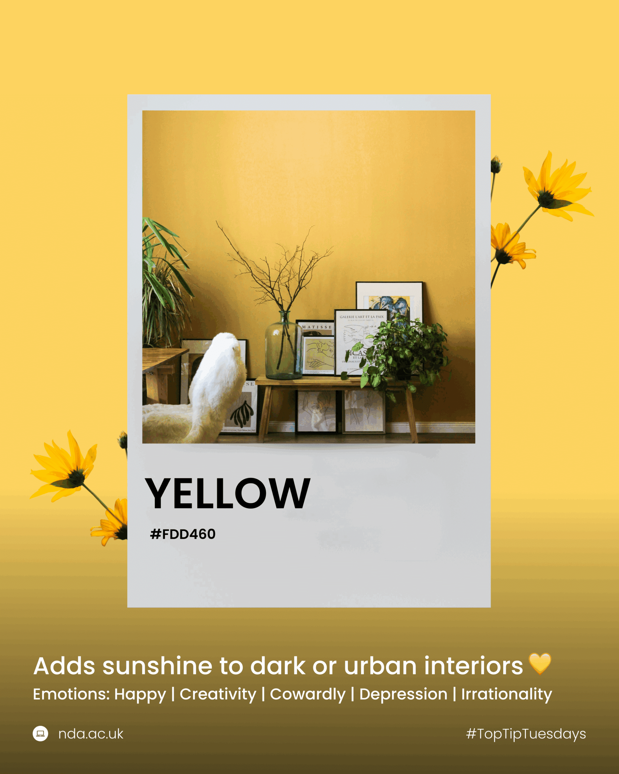 Yellow lifts dark spaces and sparks creativity.
