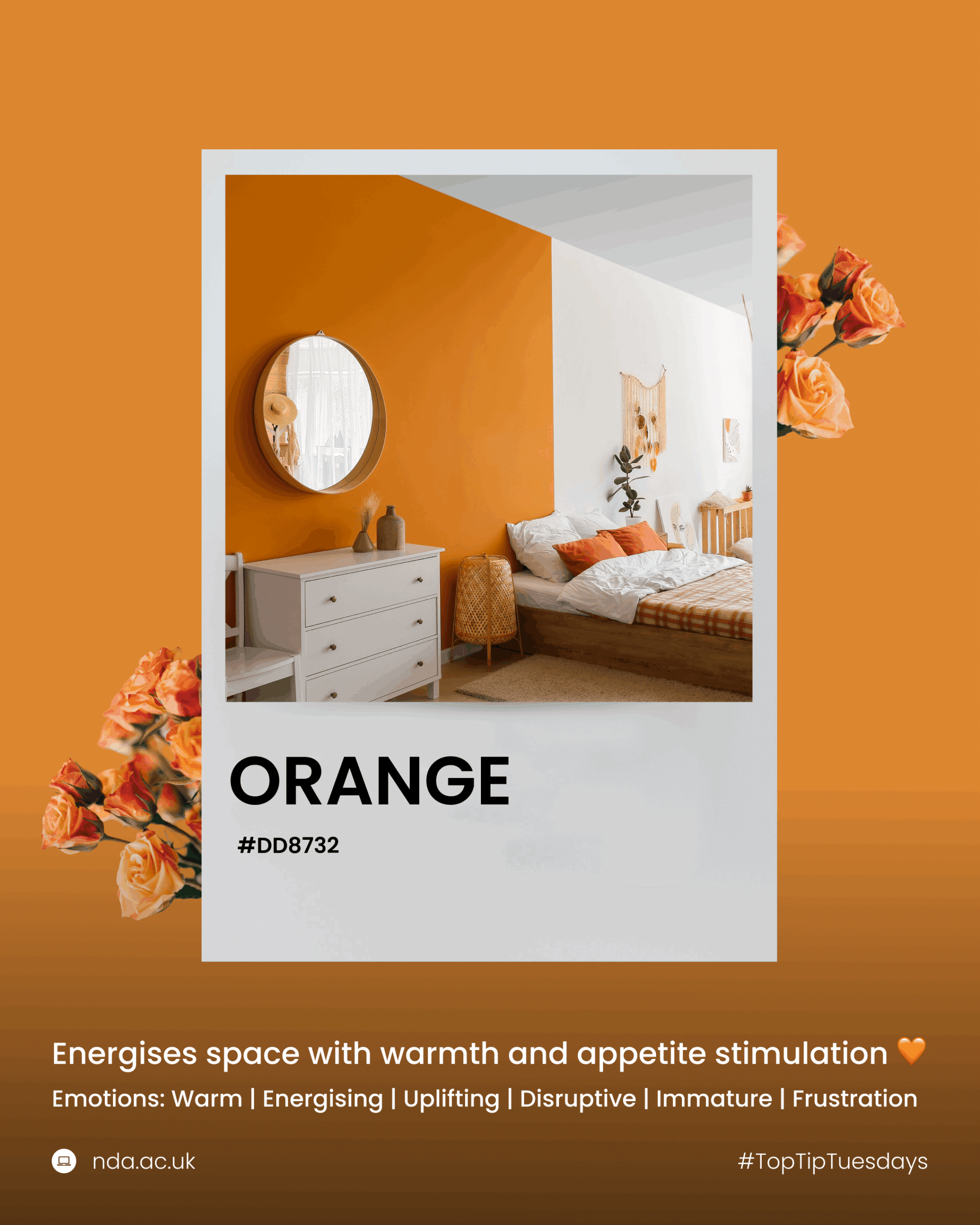 Orange energises with warmth and boldness.
