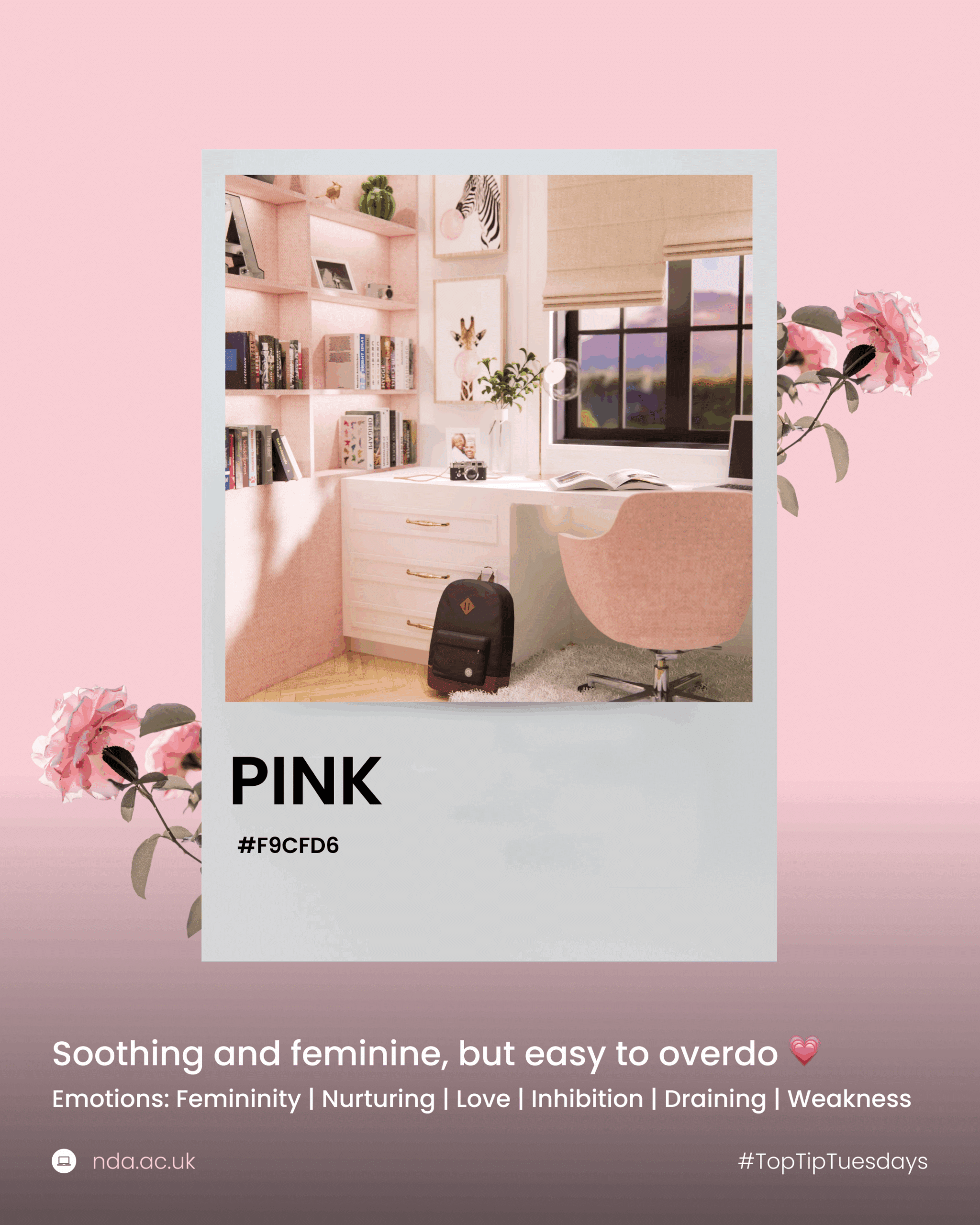 Pink soothes, nurtures, and softens a space.