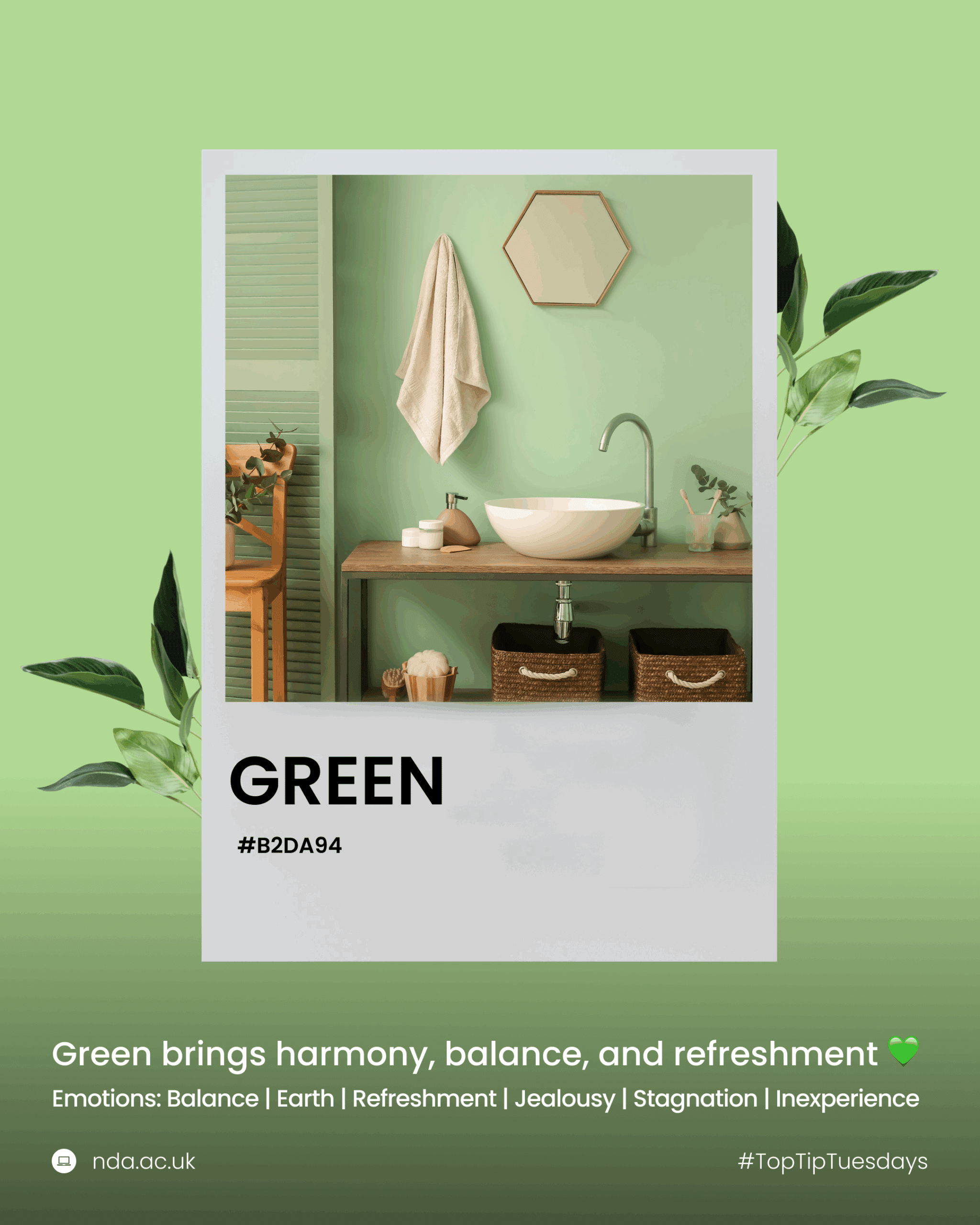 Green balances, refreshes, and connects to nature.