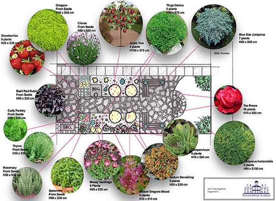 Diploma in Professional Garden Design - National Design Academy