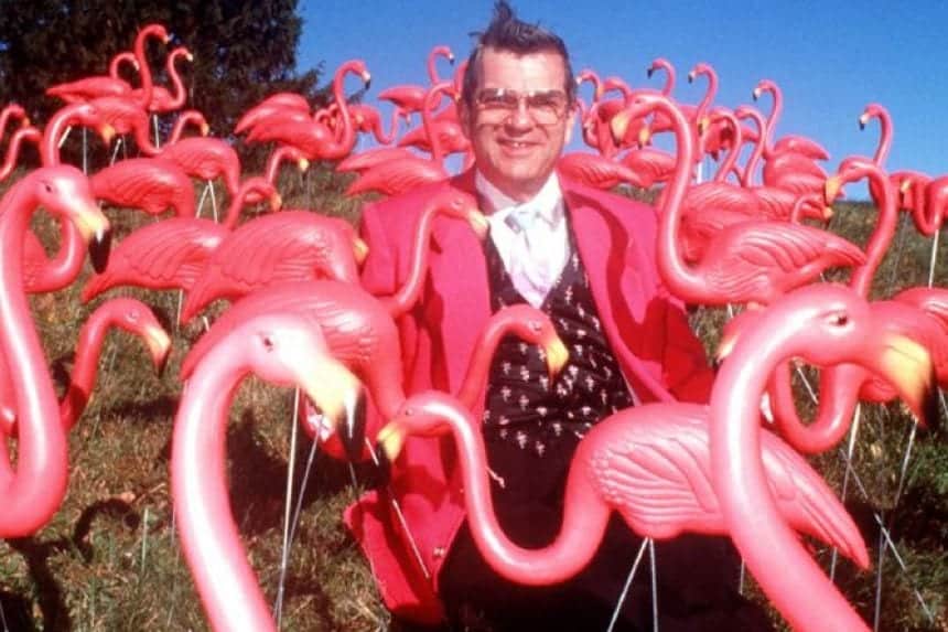 flamingo2